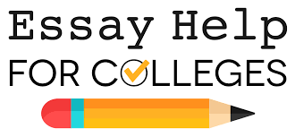 The Ultimate Essay Writing Checklist for University Students